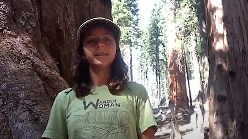 Screenshot of the REI Endorsement video. Anna Villavicencio is dressed in a green REI shirt with a baseball cap and is surrounded by towering sequoias. 