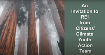 Photo of the trunks of Sequoia trees immersed in fog with a green panel on the right that says 