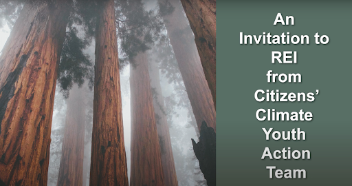 Photo of the trunks of Sequoia trees immersed in fog with a green panel on the right that says "An Invitation to REI from Citizens' Climate Youth Action Team